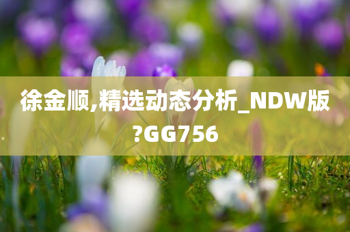 徐金顺,精选动态分析_NDW版?GG756