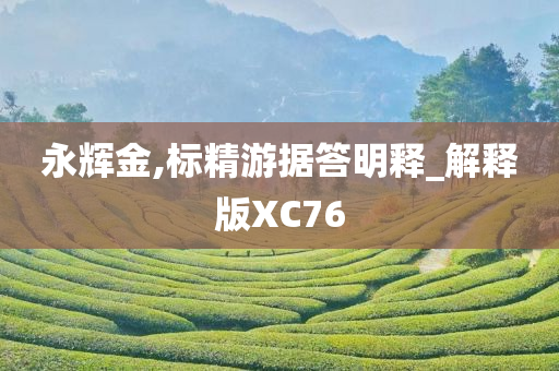 永辉金,标精游据答明释_解释版XC76