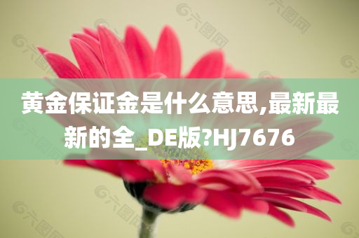 黄金保证金是什么意思,最新最新的全_DE版?HJ7676