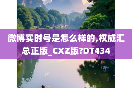 微博实时号是怎么样的,权威汇总正版_CXZ版?DT434