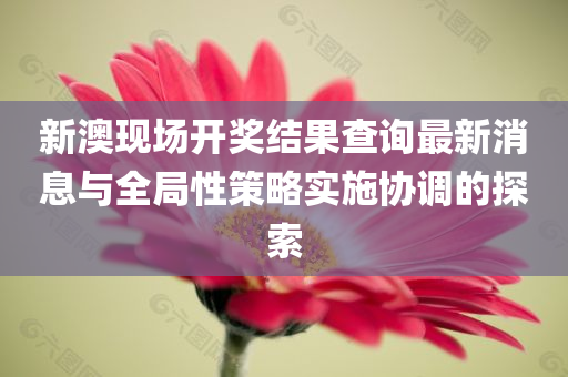 新澳现场开奖结果查询最新消息与全局性策略实施协调的探索