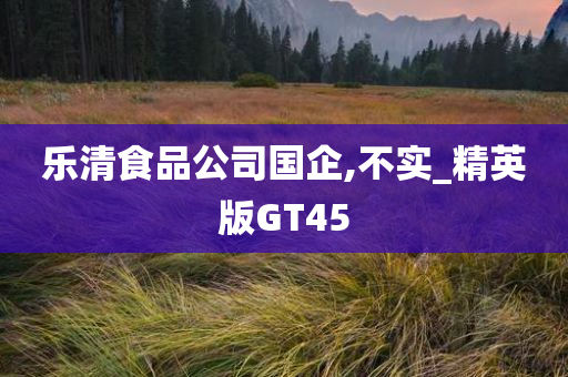 乐清食品公司国企,不实_精英版GT45