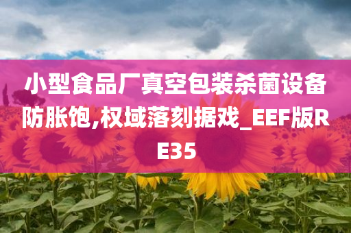 小型食品厂真空包装杀菌设备防胀饱,权域落刻据戏_EEF版RE35