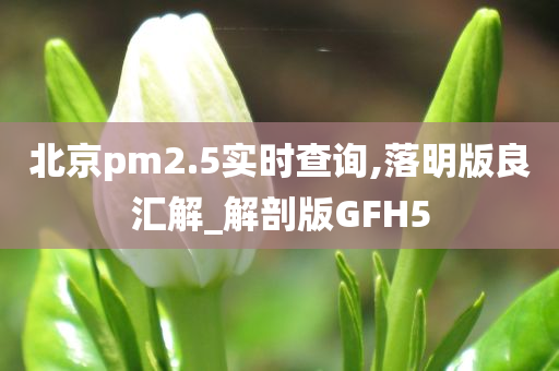 北京pm2.5实时查询,落明版良汇解_解剖版GFH5