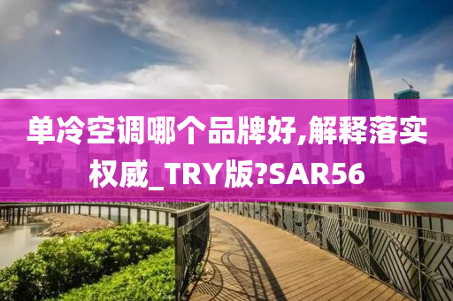 单冷空调哪个品牌好,解释落实权威_TRY版?SAR56