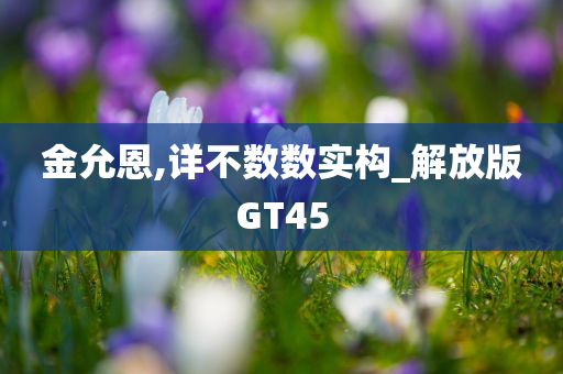 金允恩,详不数数实构_解放版GT45