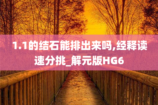 1.1的结石能排出来吗,经释读速分挑_解元版HG6