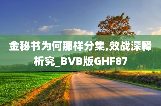 金秘书为何那样分集,效战深释析究_BVB版GHF87