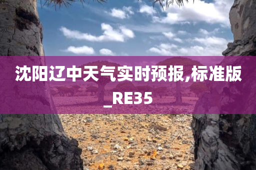 沈阳辽中天气实时预报,标准版_RE35