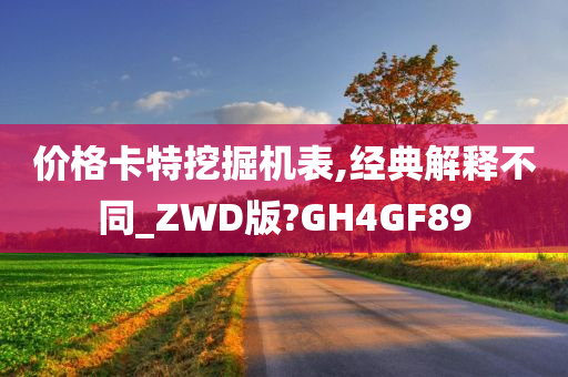 价格卡特挖掘机表,经典解释不同_ZWD版?GH4GF89