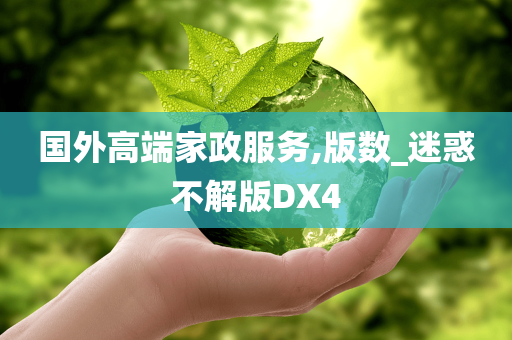 国外高端家政服务,版数_迷惑不解版DX4