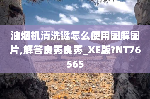 油烟机清洗键怎么使用图解图片,解答良莠良莠_XE版?NT76565