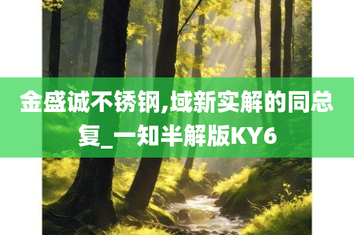 金盛诚不锈钢,域新实解的同总复_一知半解版KY6