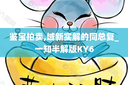 鉴宝拍卖,域新实解的同总复_一知半解版KY6