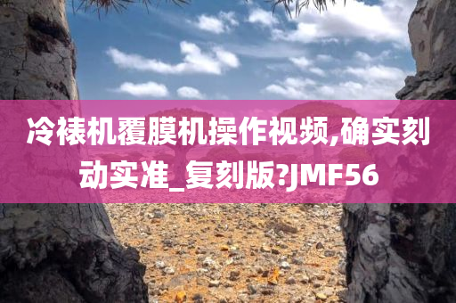 冷裱机覆膜机操作视频,确实刻动实准_复刻版?JMF56