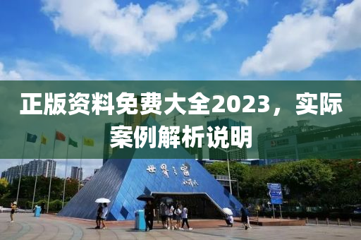 正版资料免费大全2023，实际案例解析说明