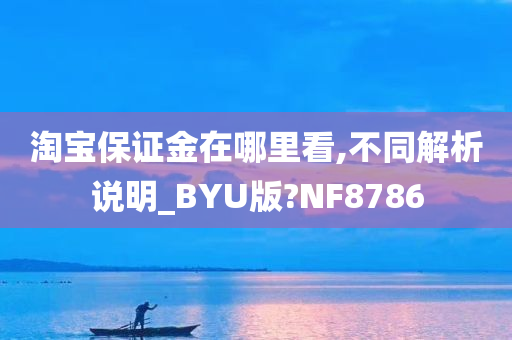 淘宝保证金在哪里看,不同解析说明_BYU版?NF8786