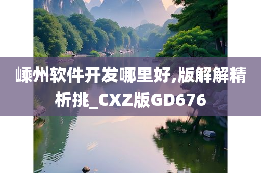 嵊州软件开发哪里好,版解解精析挑_CXZ版GD676