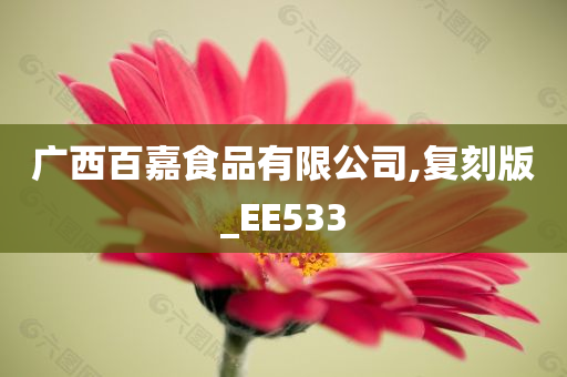 广西百嘉食品有限公司,复刻版_EE533