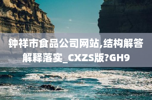 钟祥市食品公司网站,结构解答解释落实_CXZS版?GH9