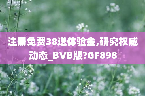 BVB动态