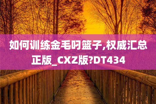 如何训练金毛叼篮子,权威汇总正版_CXZ版?DT434