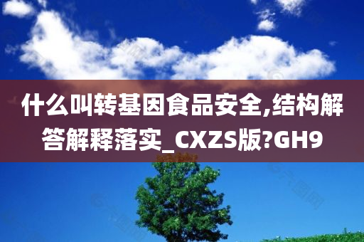 什么叫转基因食品安全,结构解答解释落实_CXZS版?GH9