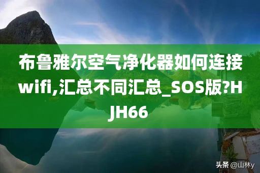 布鲁雅尔空气净化器如何连接wifi,汇总不同汇总_SOS版?HJH66