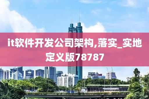 it软件开发公司架构,落实_实地定义版78787