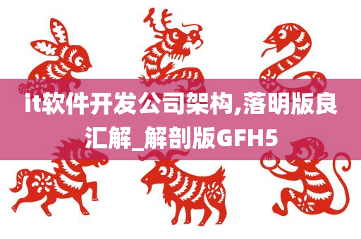 it软件开发公司架构,落明版良汇解_解剖版GFH5