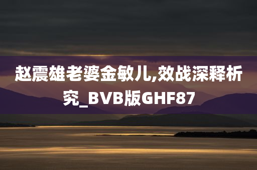 赵震雄老婆金敏儿,效战深释析究_BVB版GHF87