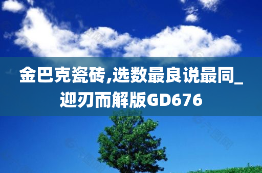 金巴克瓷砖,选数最良说最同_迎刃而解版GD676