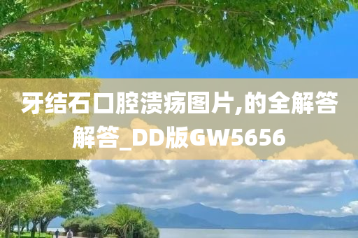 牙结石口腔溃疡图片,的全解答解答_DD版GW5656