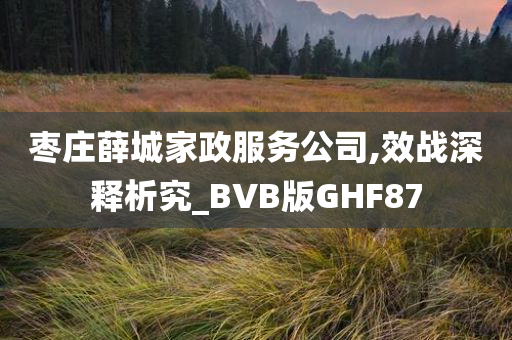 枣庄薛城家政服务公司,效战深释析究_BVB版GHF87