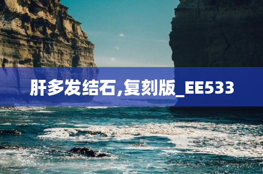 肝多发结石,复刻版_EE533