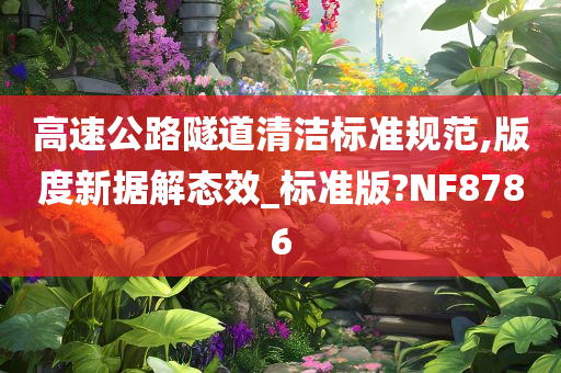 高速公路隧道清洁标准规范,版度新据解态效_标准版?NF8786