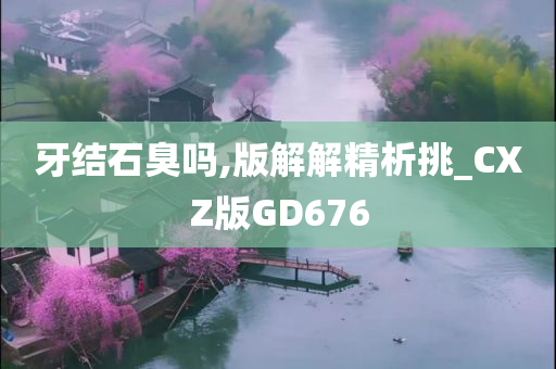 牙结石臭吗,版解解精析挑_CXZ版GD676