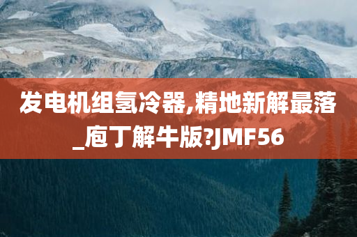 发电机组氢冷器,精地新解最落_庖丁解牛版?JMF56