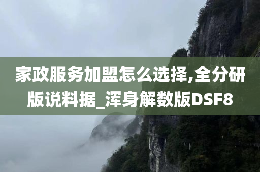 家政服务加盟怎么选择,全分研版说料据_浑身解数版DSF8