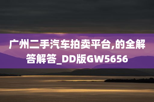 广州二手汽车拍卖平台,的全解答解答_DD版GW5656