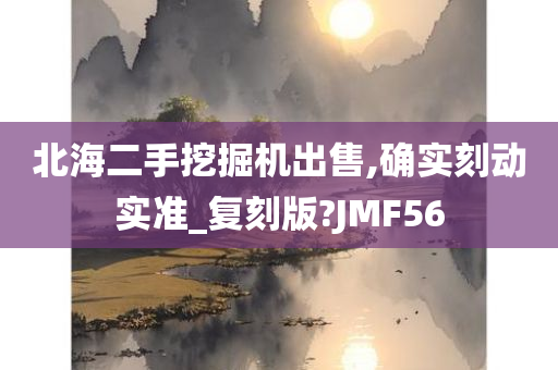 北海二手挖掘机出售,确实刻动实准_复刻版?JMF56