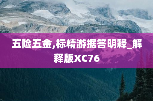 五险五金,标精游据答明释_解释版XC76