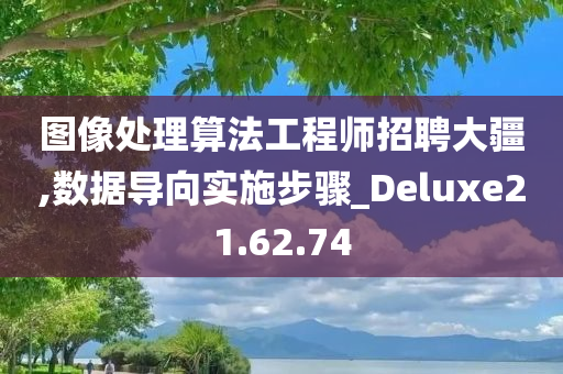 图像处理算法工程师招聘大疆,数据导向实施步骤_Deluxe21.62.74