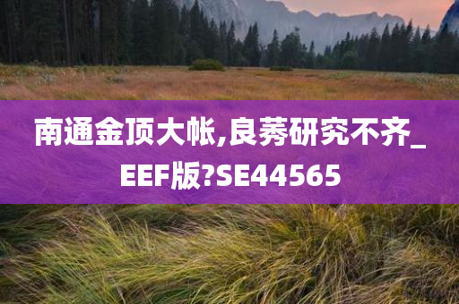 南通金顶大帐,良莠研究不齐_EEF版?SE44565