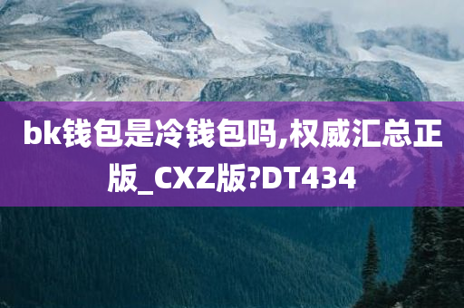 bk钱包是冷钱包吗,权威汇总正版_CXZ版?DT434