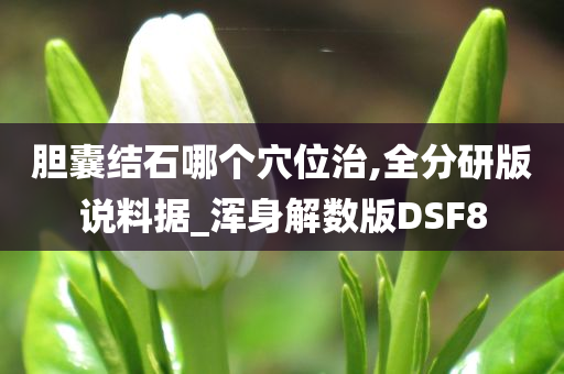 胆囊结石哪个穴位治,全分研版说料据_浑身解数版DSF8