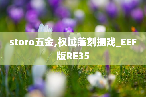 storo五金,权域落刻据戏_EEF版RE35