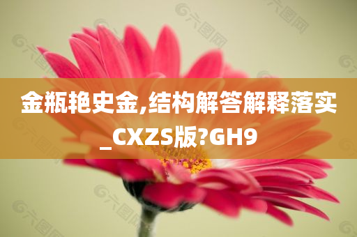 金瓶艳史金,结构解答解释落实_CXZS版?GH9