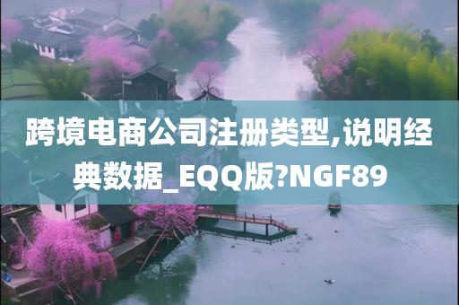 跨境电商公司注册类型,说明经典数据_EQQ版?NGF89