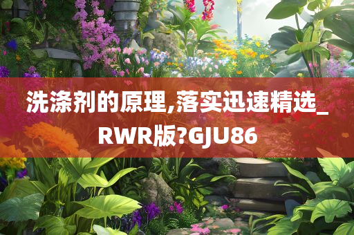 洗涤剂的原理,落实迅速精选_RWR版?GJU86